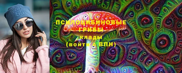 спайс Алексин