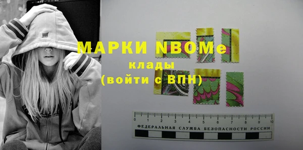 прущие грибы Абинск