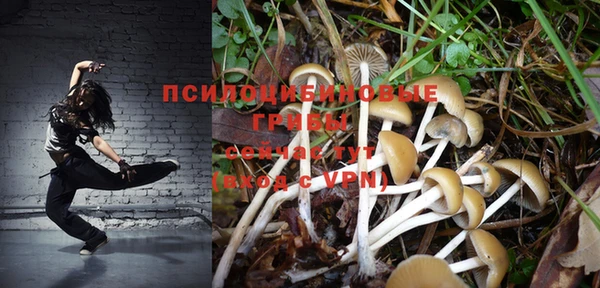 эйфоретик Алзамай