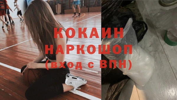 спайс Алексин
